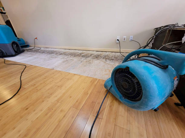 Professional Basement Flood Cleanup technician working in Jefferson, MA